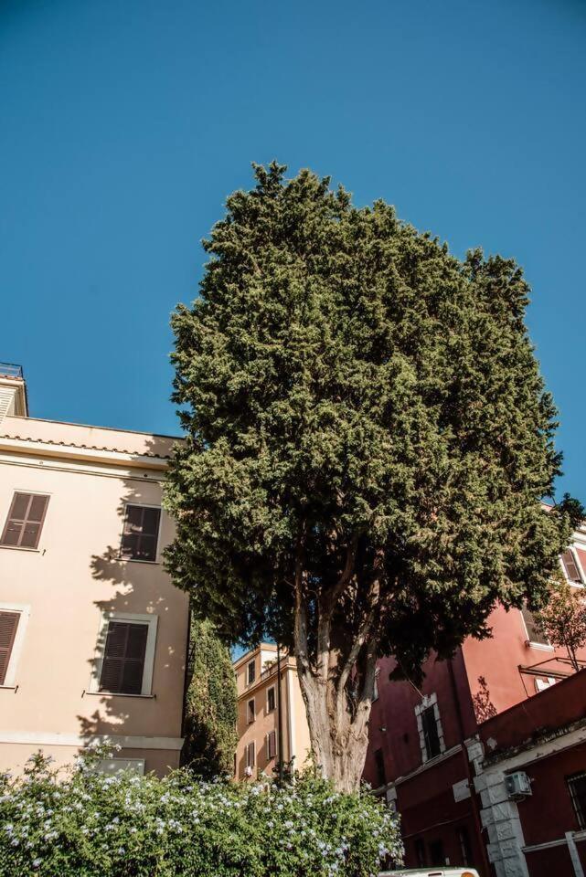 Vatican Del Gallo Appartamento Roma